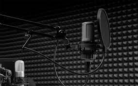 Studio Microphone
