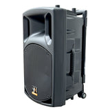 E-Lektron EL30-MUH 700W 12" inch Bluetooth Wireless linkable Loud Portable PA Speaker Sound System incl.2 Handheld +2 Headset Mics for Karaoke Coach Speech Singing