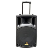 E-Lektron EL30-M 700W 12" inch Bluetooth Wireless linkable Loud Portable PA Speaker Sound System incl.4 UHF Handheld Mics  for Karaoke Coach Speech Singing