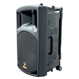 E-Lektron UHF30-MS 1400W 2X12" inch Bluetooth Wireless linkable Loud Portable PA Speakers Sound System Recoding incl.4 UHF Mics and Stands